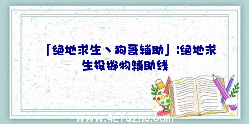 「绝地求生丶狗哥辅助」|绝地求生投掷物辅助线